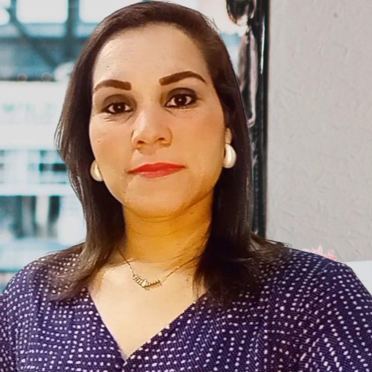 imagem 2 liliane.jpeg